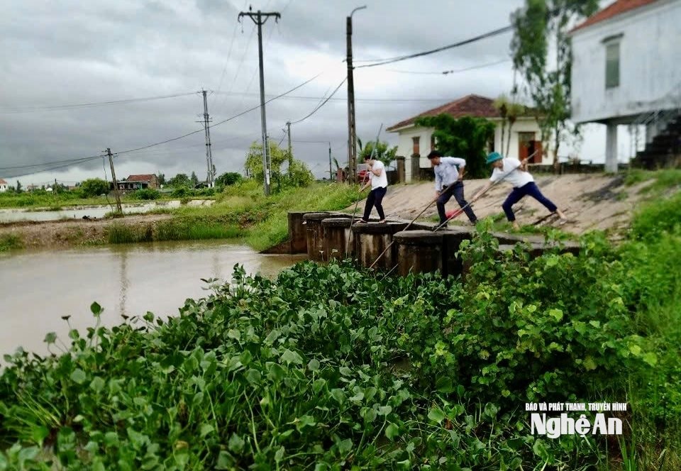 van truong mẻtttt