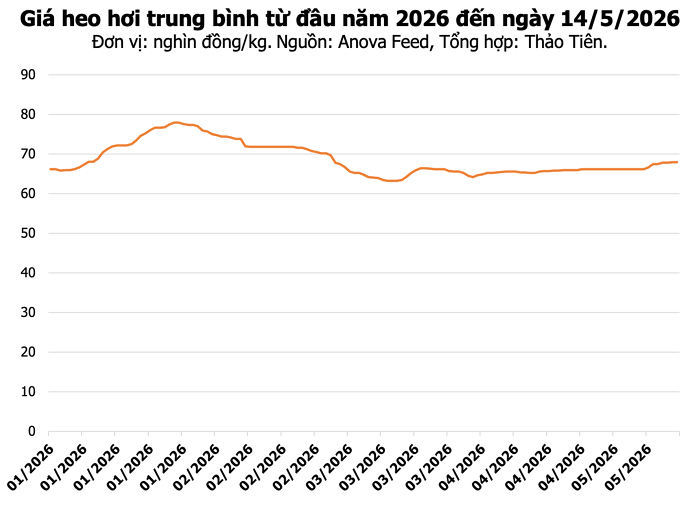 Thị trường heo hơi đi ngang trong phiên sáng 14/5