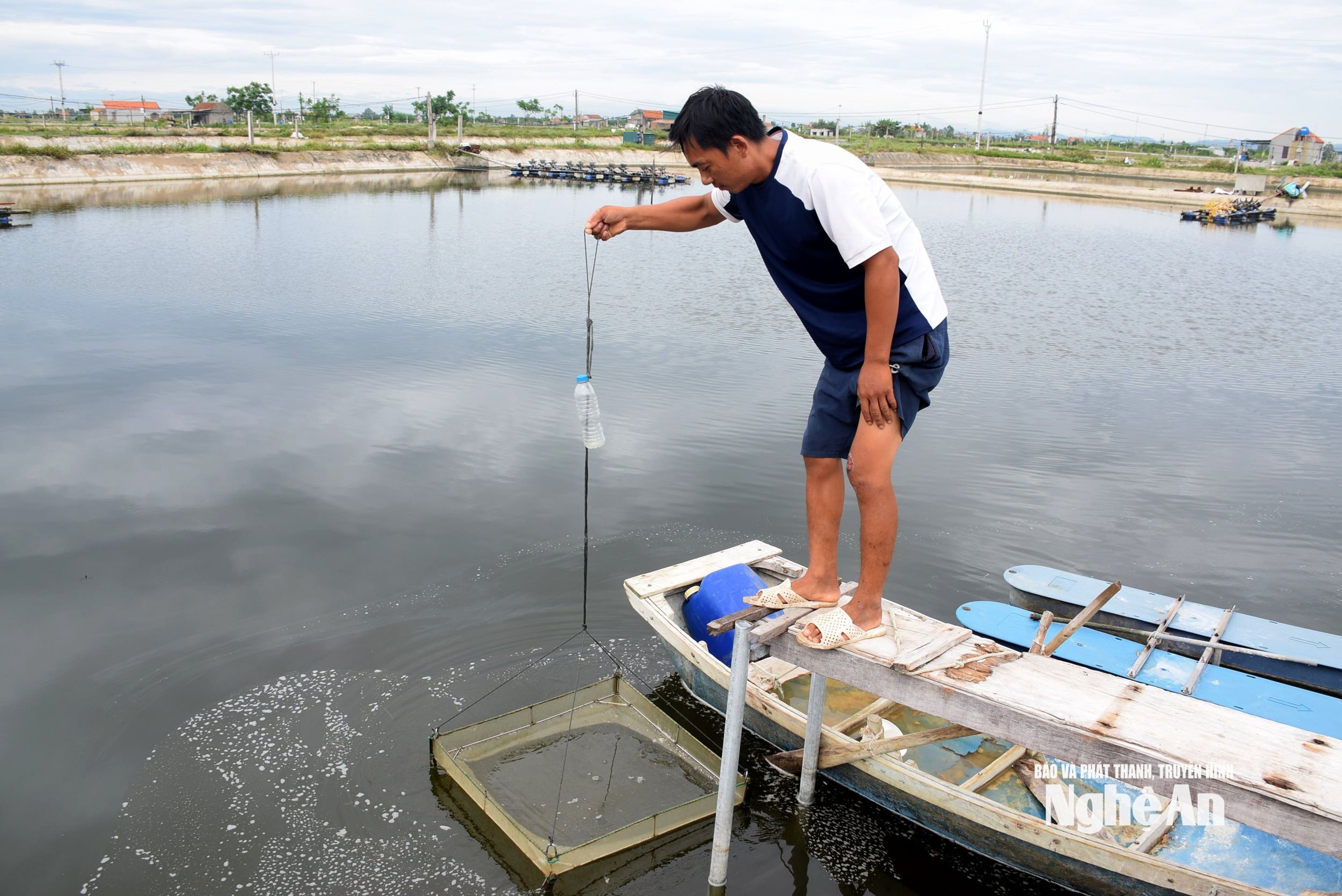 Để một vụ tôm thắng lợi, người nuôi tôm cần mua con giống đảm bảo chất lượng và thả theo lịch mùa vụ. Ảnh Xuân Hoàng