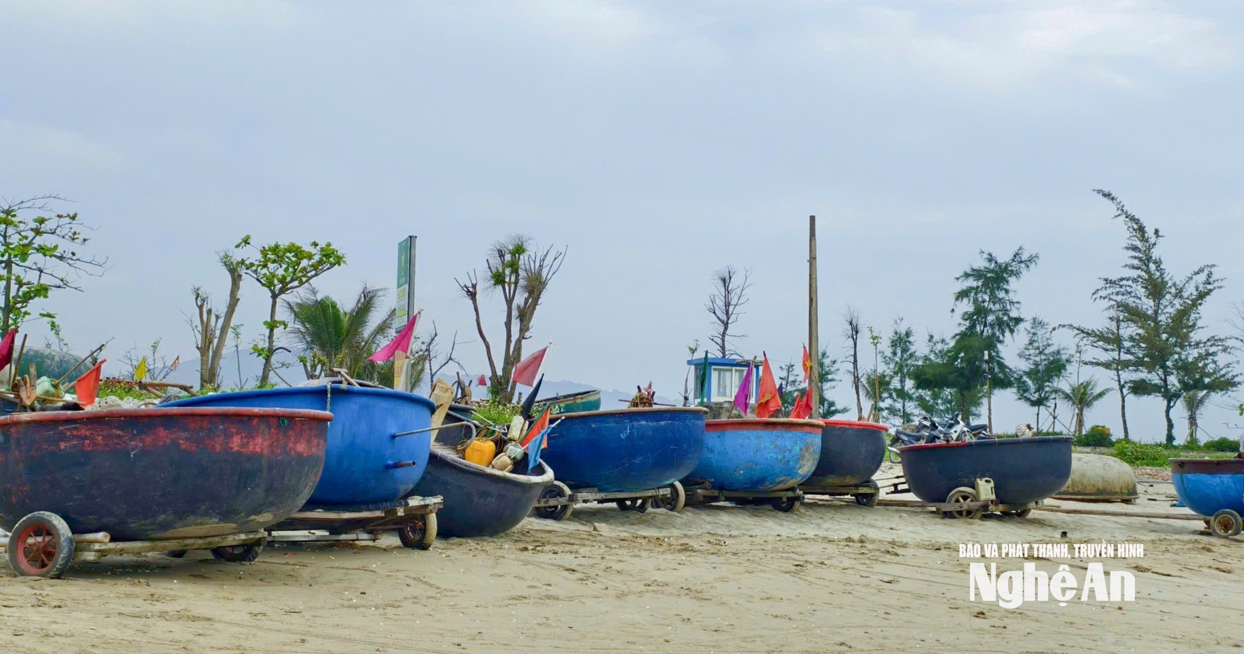 Trh s košovými loděmi. Foto: Diep Thanh210