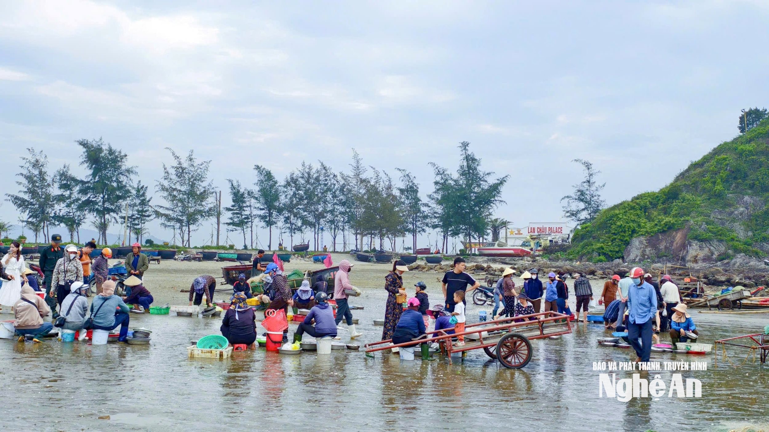 Trh s košovými loděmi. Foto: Diep Thanh22