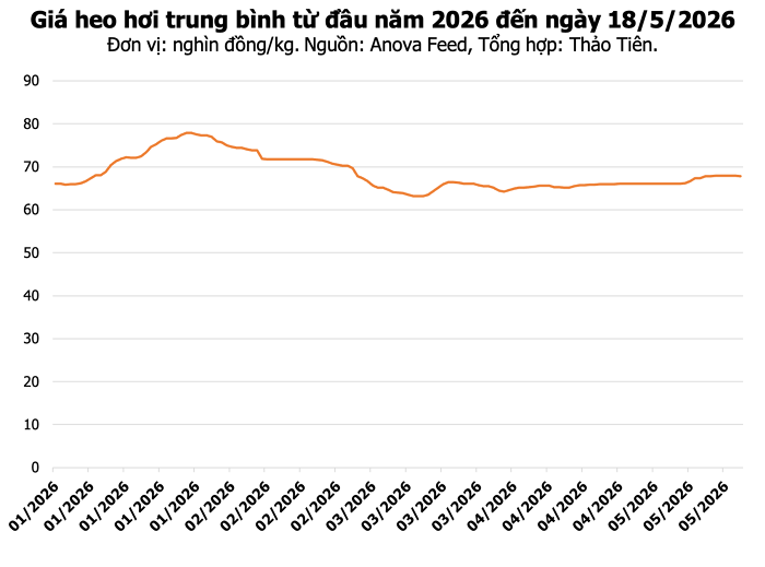 Bảng giá heo hơi hôm nay tại khu vực miền Nam ngày 18/5