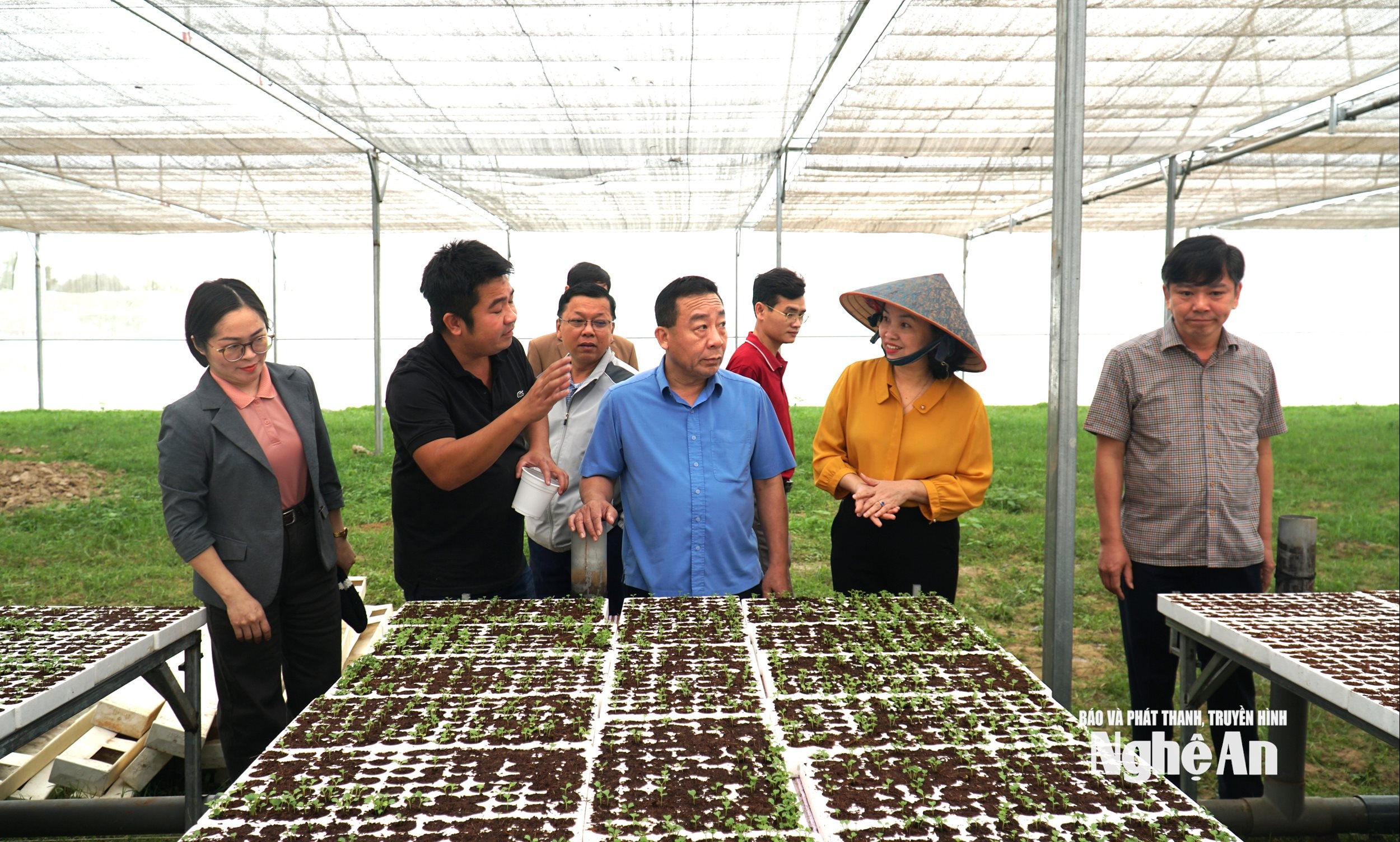 Lãnh đạo tỉnh kiểm tra mô hình trồng rau trong nhà màng