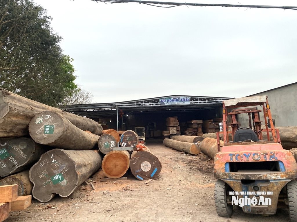 Một cơ sở chế biến gỗ ở xã Quỳnh Lưu thiếu lao động, ảnh_ văn trường
