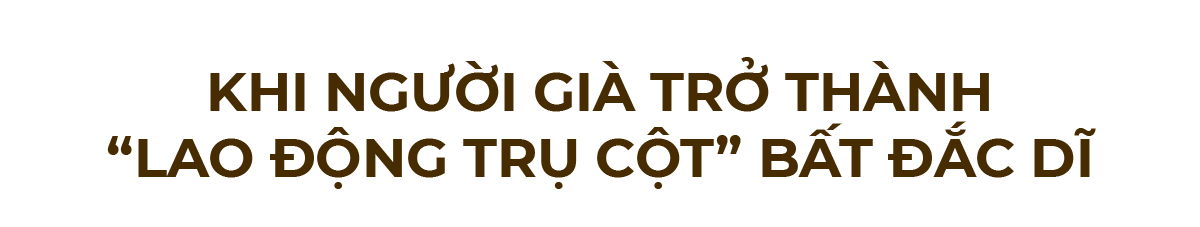 giahoalaodongnongthon-b1-tit1.png