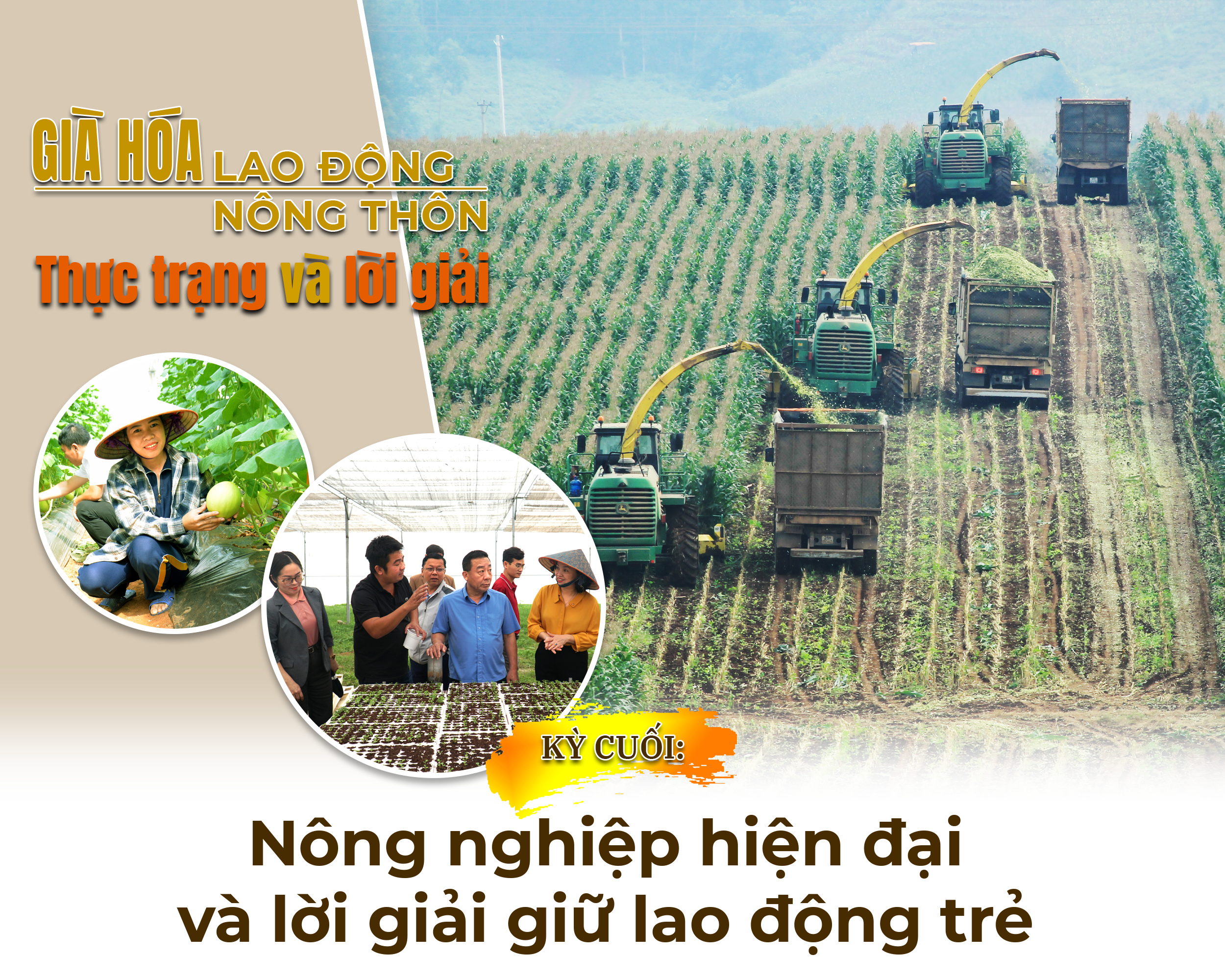 giahoalaodongnongthon-b3-cover(1).png