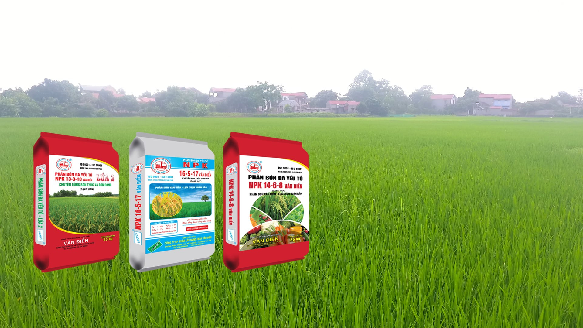 Giá phân bón hôm nay 19/5/2026: DAP Nga 1.245.000 đồng/bao