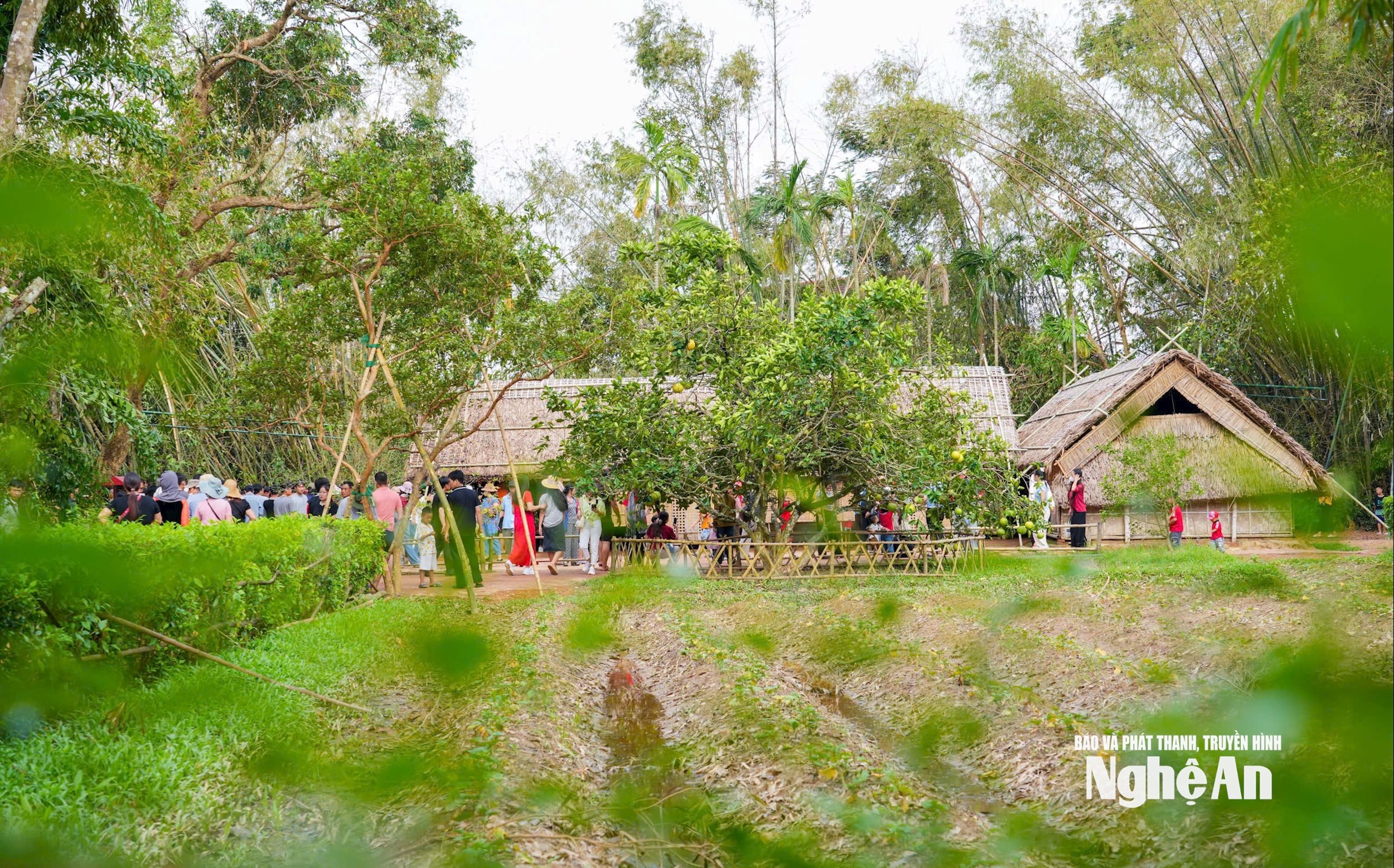 Khu Di tích Quốc gia đặc biệt Kim Liên trở thành điểm hẹn tâm linh, nơi hàng vạn người dân từ khắp mọi miền Tổ quốc tìm về để tưởng nhớ công ơn Chủ tịch Hồ Chí Minh. Ảnh Đình Tuyên