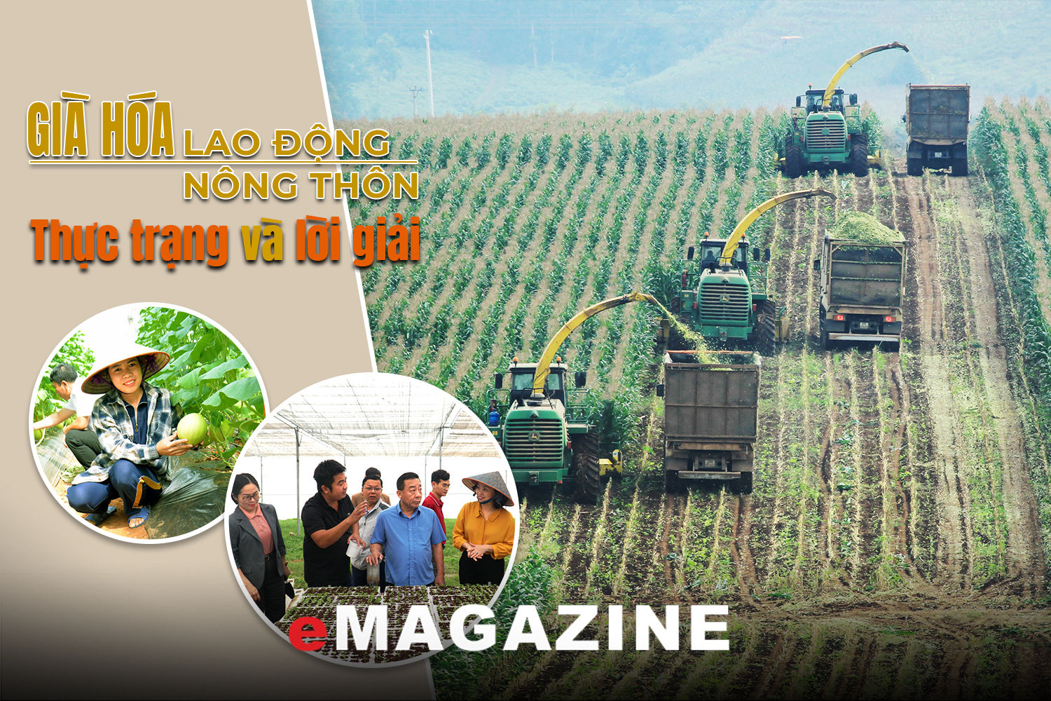 Già hóa lao động nông thôn - Kỳ cuối: Nông nghiệp hiện đại và lời giải giữ lao động trẻ