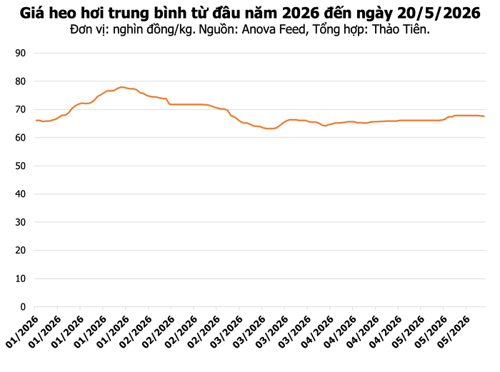 Thị trường heo hơi ghi nhận biến động giá tại miền Bắc và miền Nam