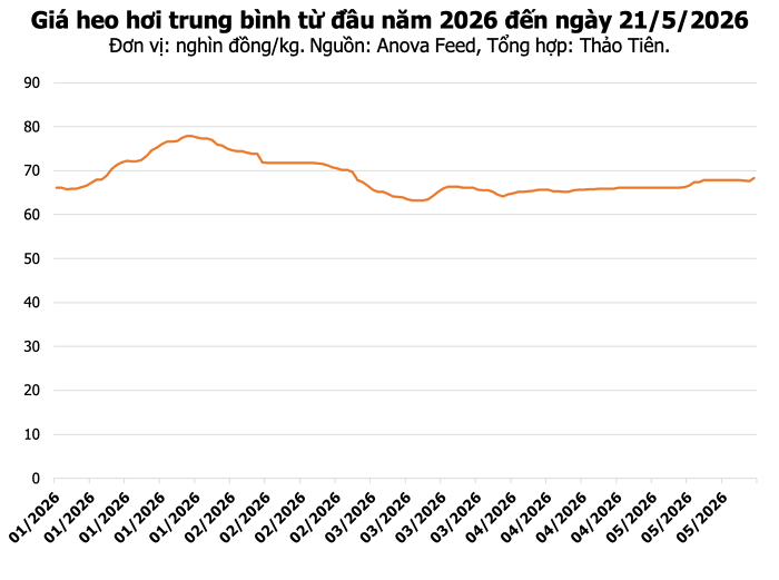 Thị trường heo hơi hôm nay ghi nhận đà tăng giá tại nhiều địa phương trên cả nước.