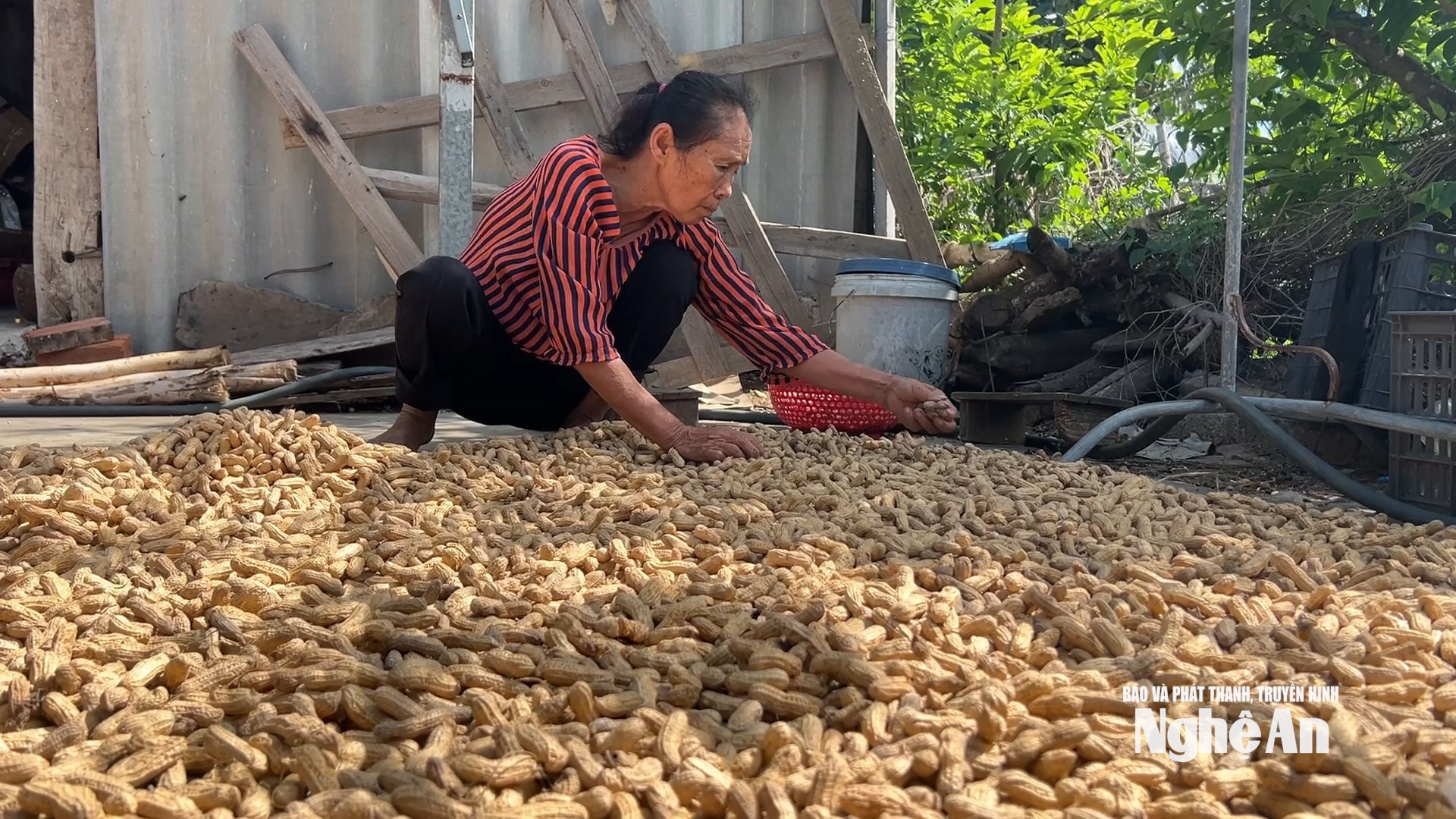 bà Hồ Thị Nhân gắng gượng lao động giúp con cháu