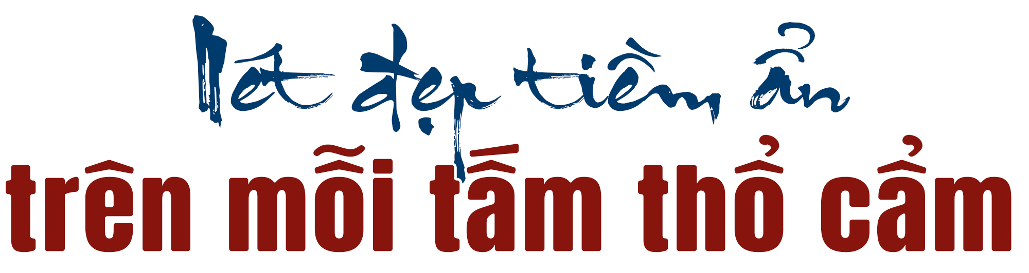 titphu3(1).png