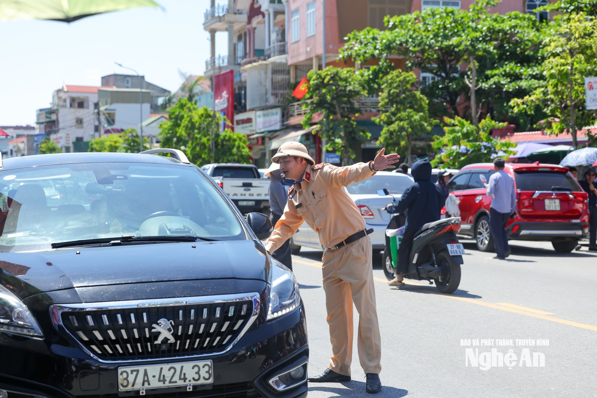 7.ảnh pv
