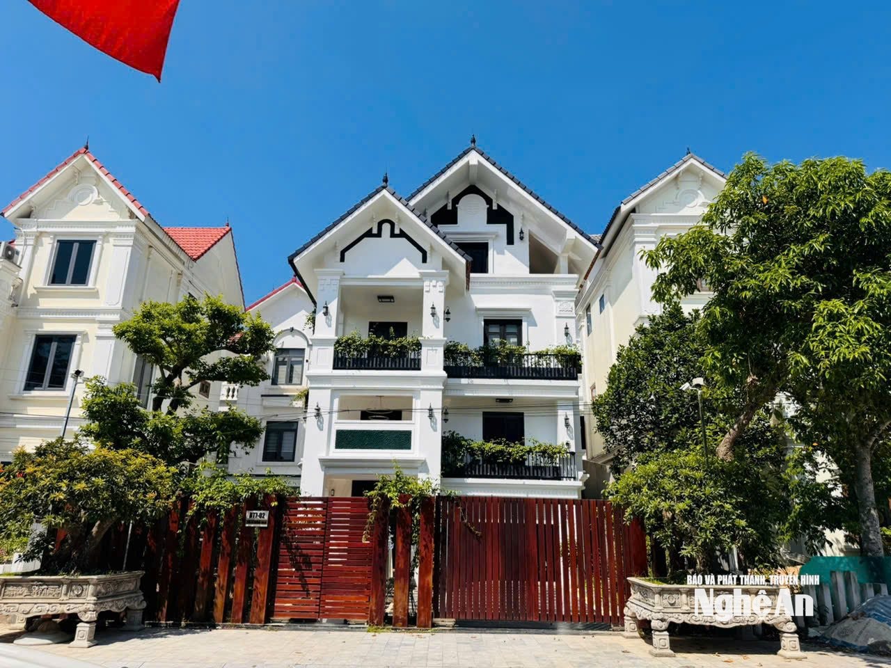ảnh thật cận nhé