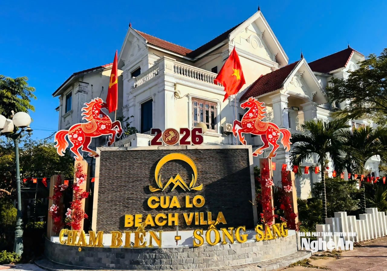 ảnh thật dự án