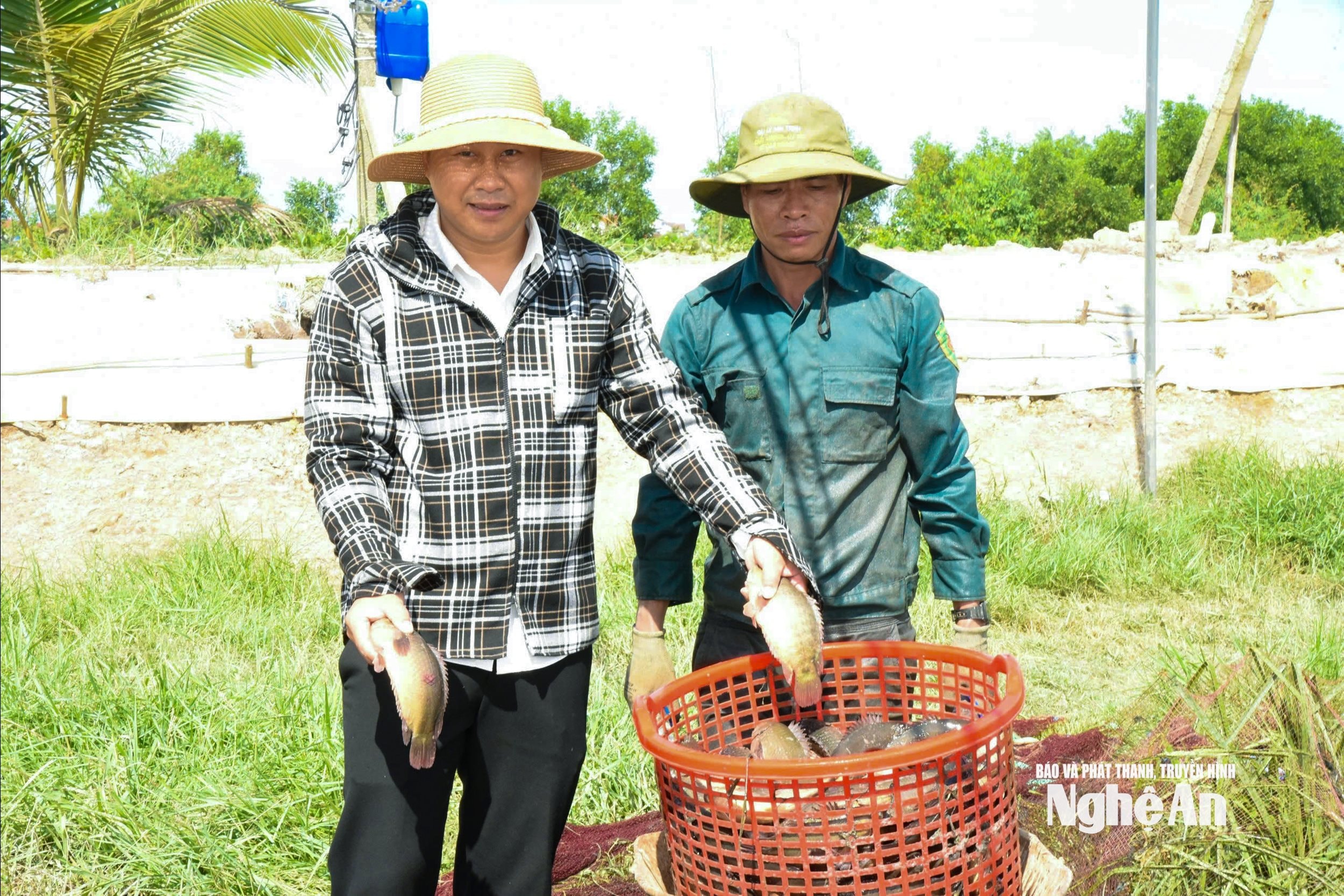 cá rô 2Nhơn