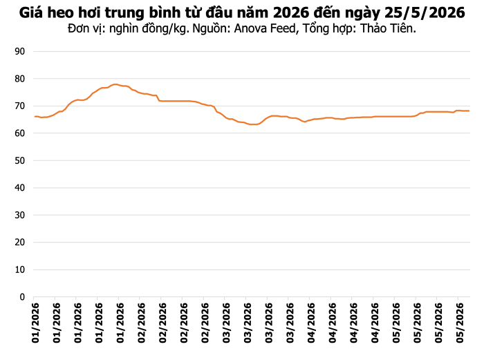 Giá heo hơi hôm nay ổn định trên cả nước