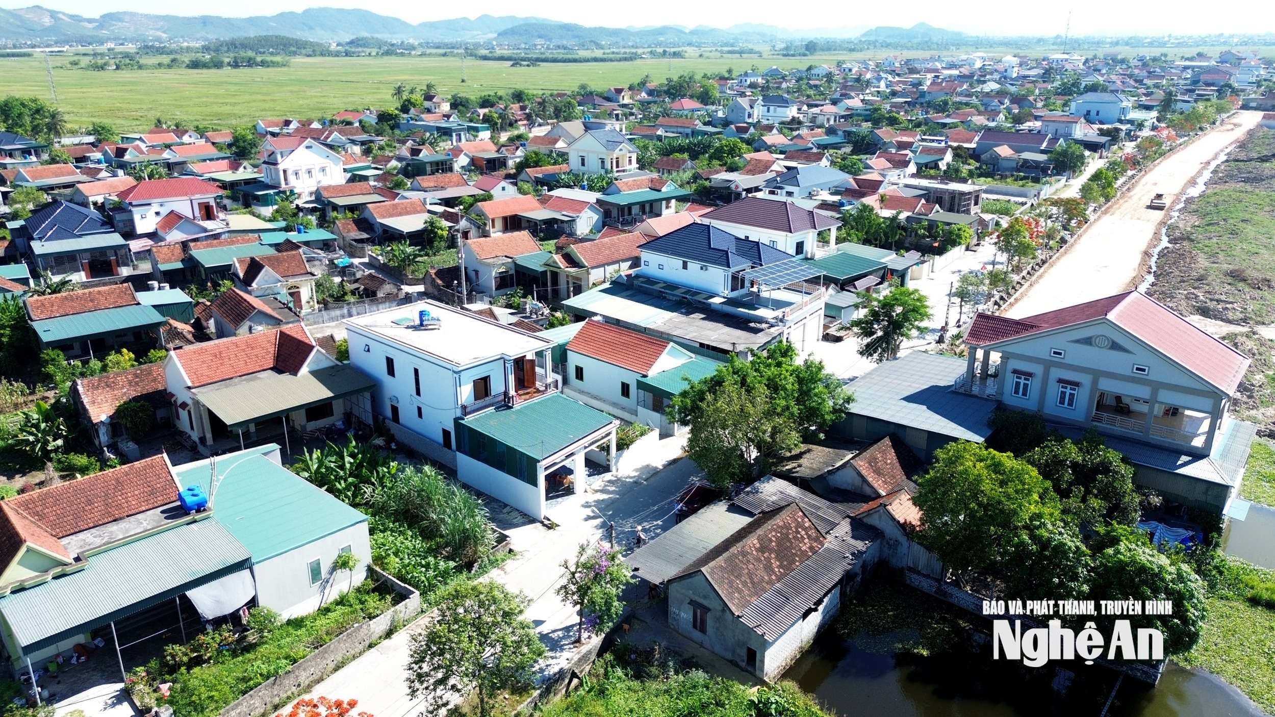 hoang 7 (1)