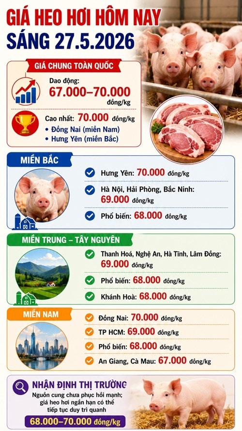 Thị trường heo hơi ngày 27/5 duy trì ổn định với mức giá cao nhất 70.000 đồng/kg tại Đồng Nai và Hưng Yên