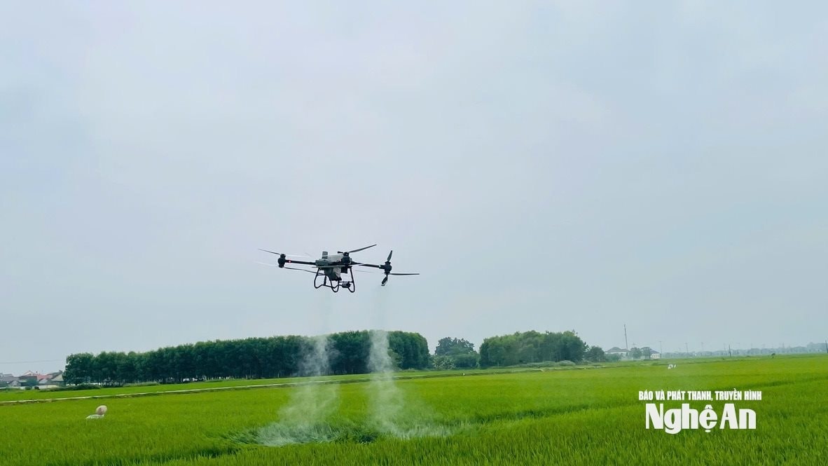 ảnh drone
