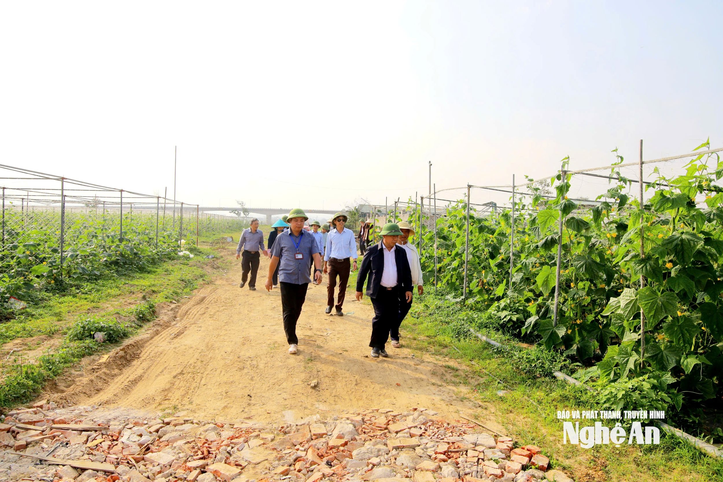 ảnh pct Trang trại HTX Thành Vinh