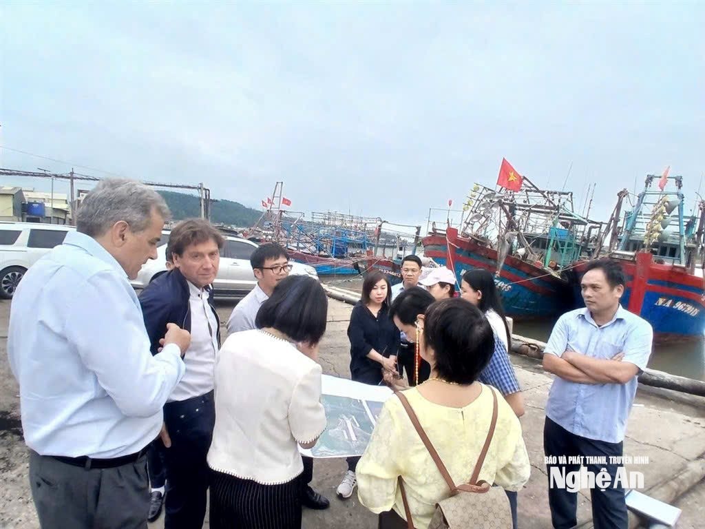  Đoàn WB khảo sát