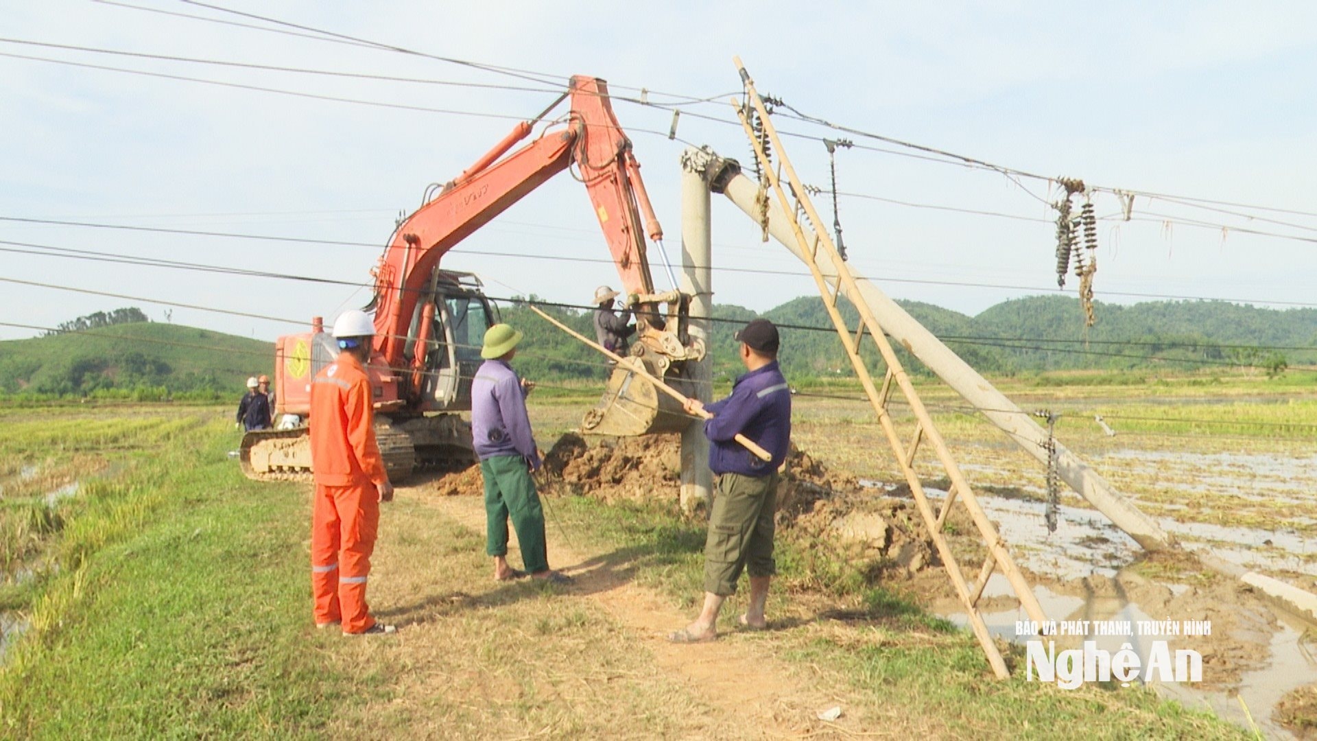  cột điện 