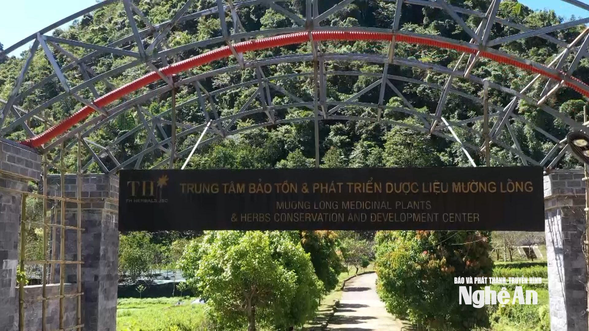  Trung tâm Bảo tồn và Phát triển Dược liệu Mường Lống - Tập đoàn TH. Ảnh Vân Anh