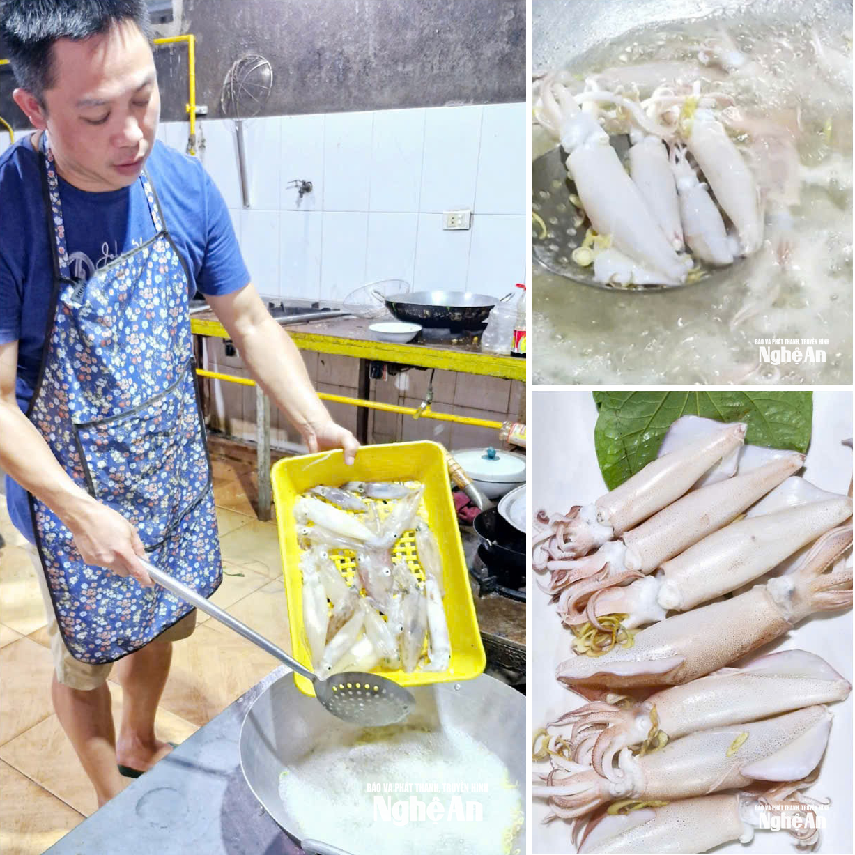 Mực nháy Cửa Lò vào bếp. Ảnh Nhật Lân