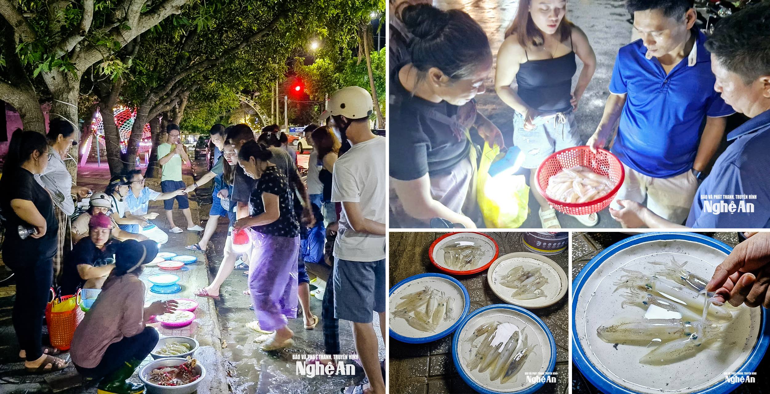 mực nháy cửa lò