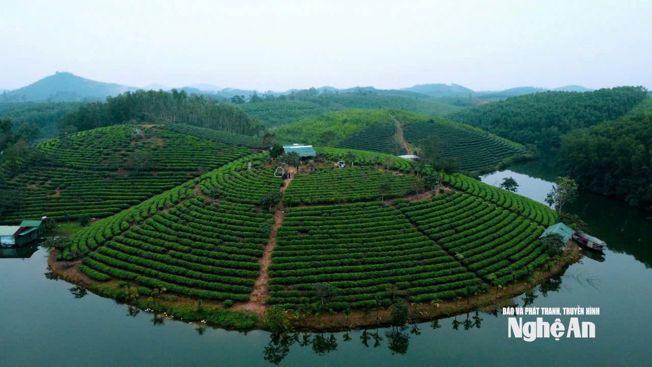 z7882870105530_4ad1925f5dcc6b4698d3fa16fe6afc5f.jpg