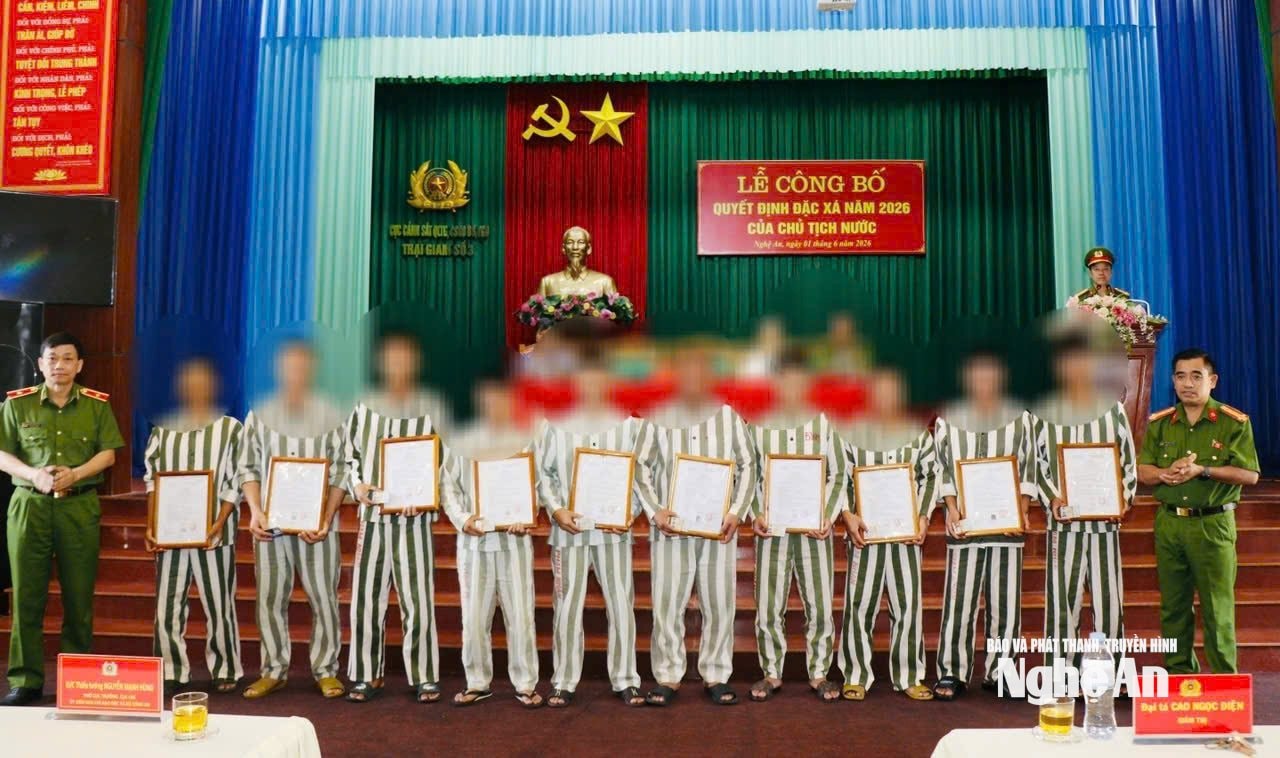 3.ảnh pv