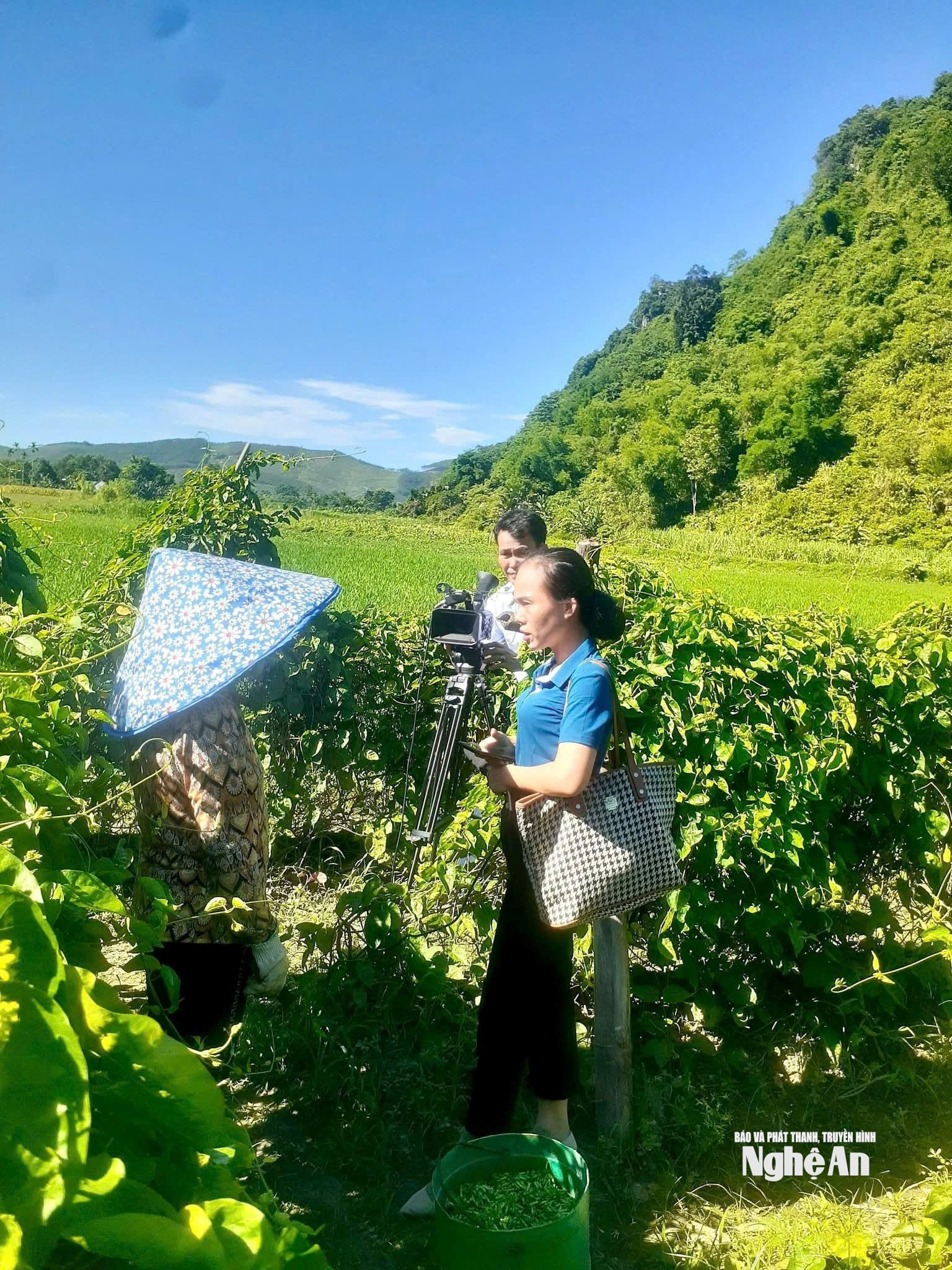 Phóng viên Phan Thị Giang tác nghiệp ở cơ sở. Ảnh NCCC3