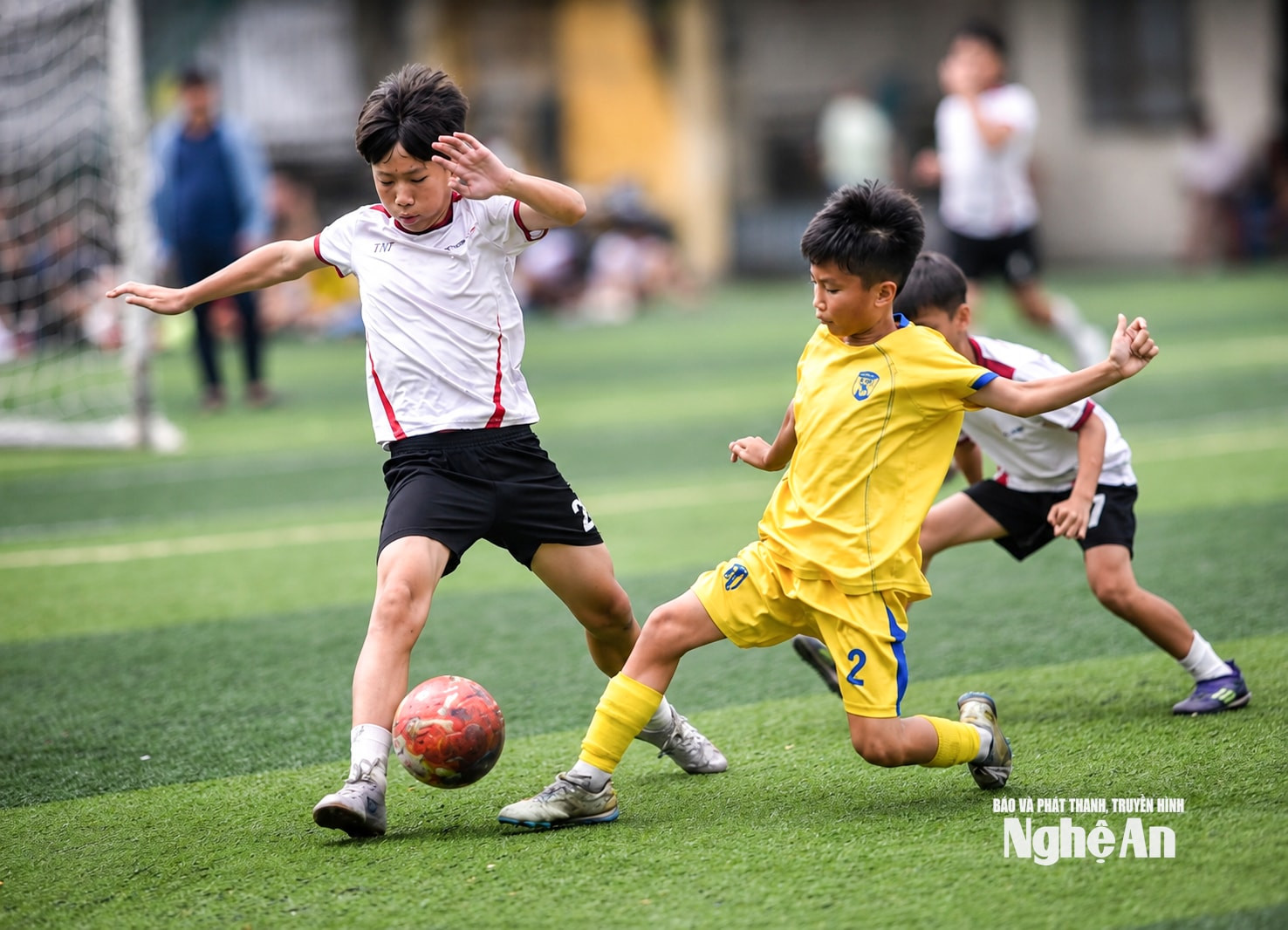 tn-thanh-vin-tn-thien-nhan-1(1).jpg
