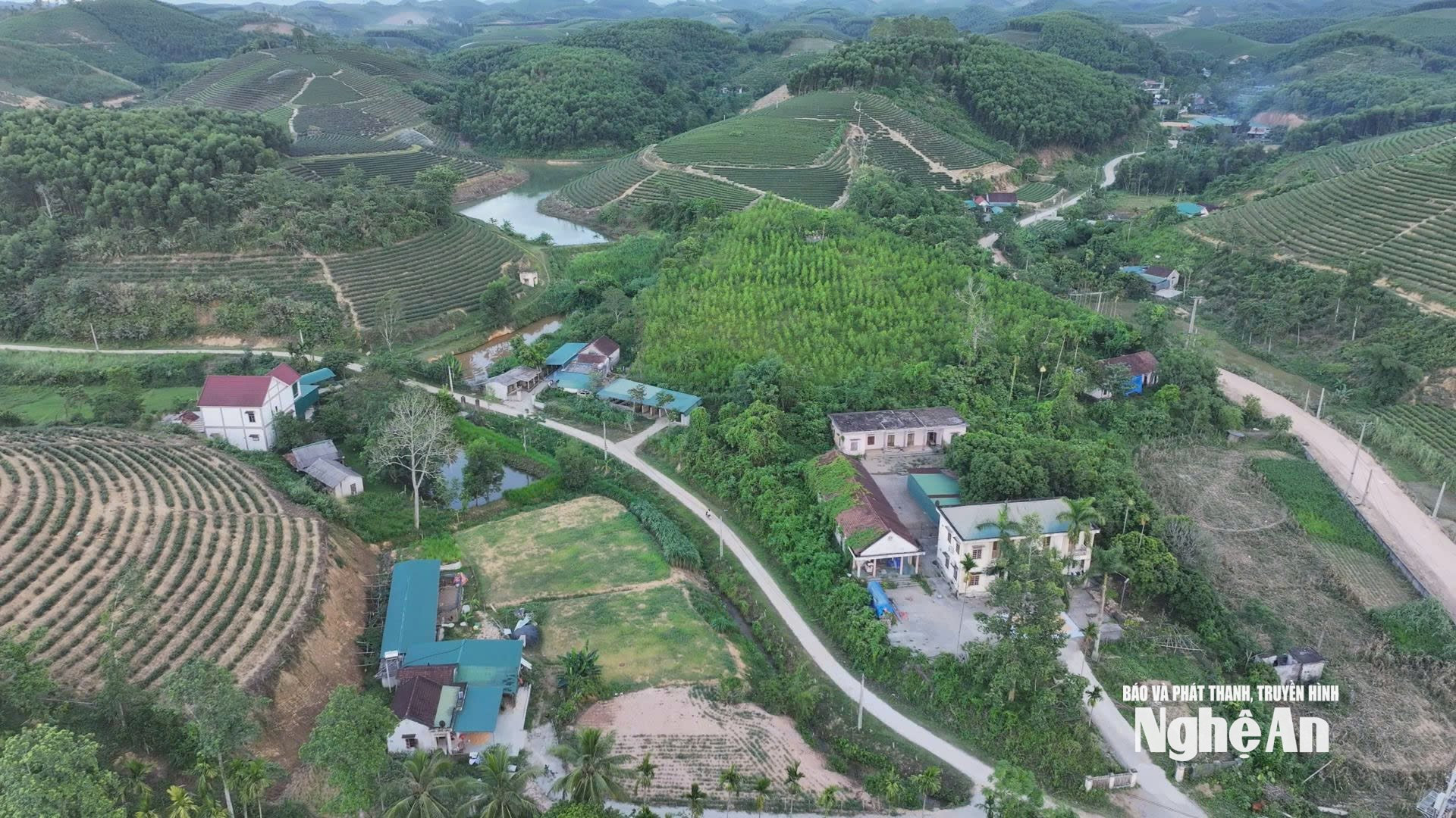 bna_voi-nhung-vung-ba-con-nhan-dan-trong-che-nhung-thon-moi-cua-xa-yen-xuan-se-co-dien-tich-rat-rong.jpg