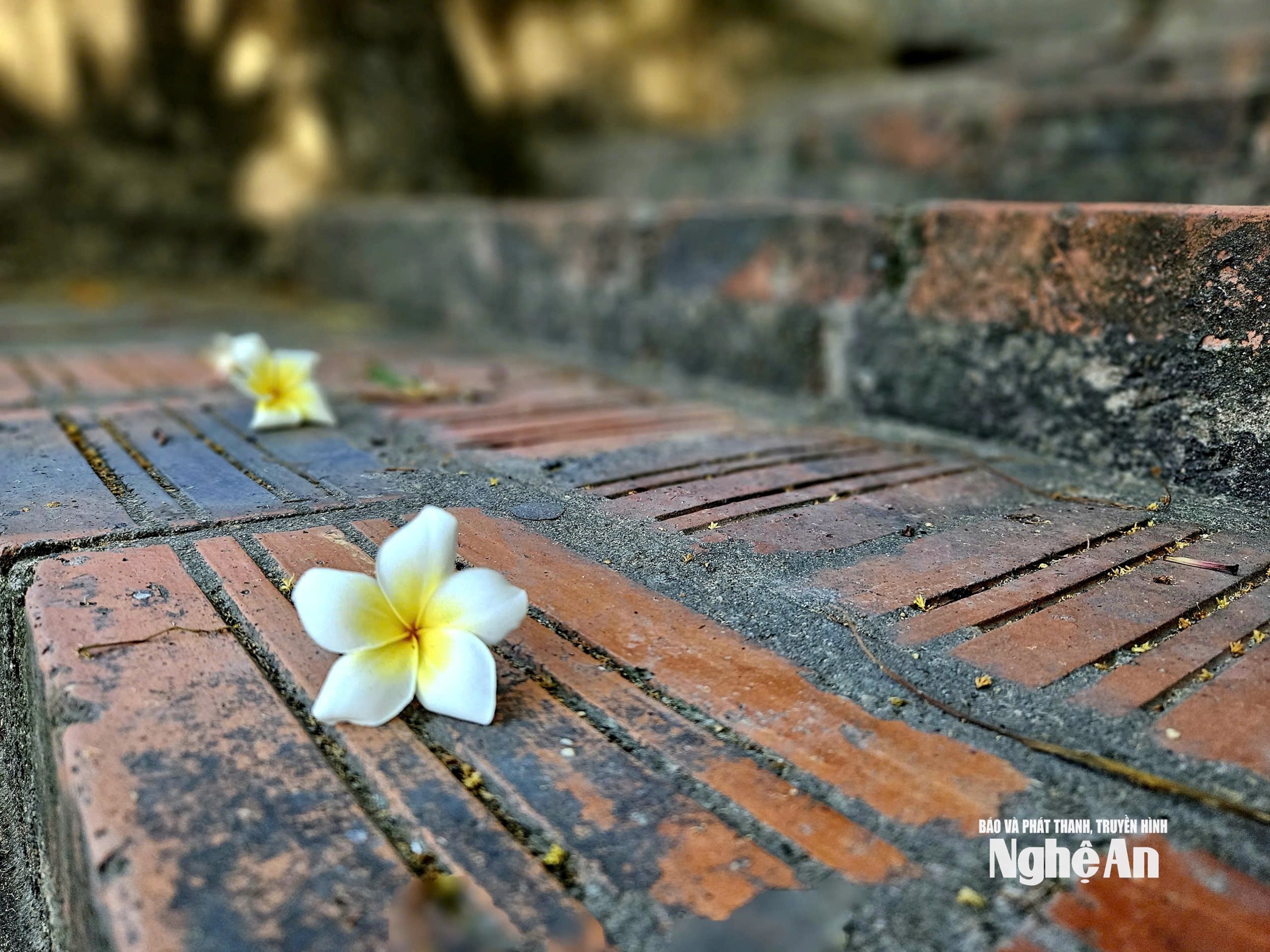 chợ hến