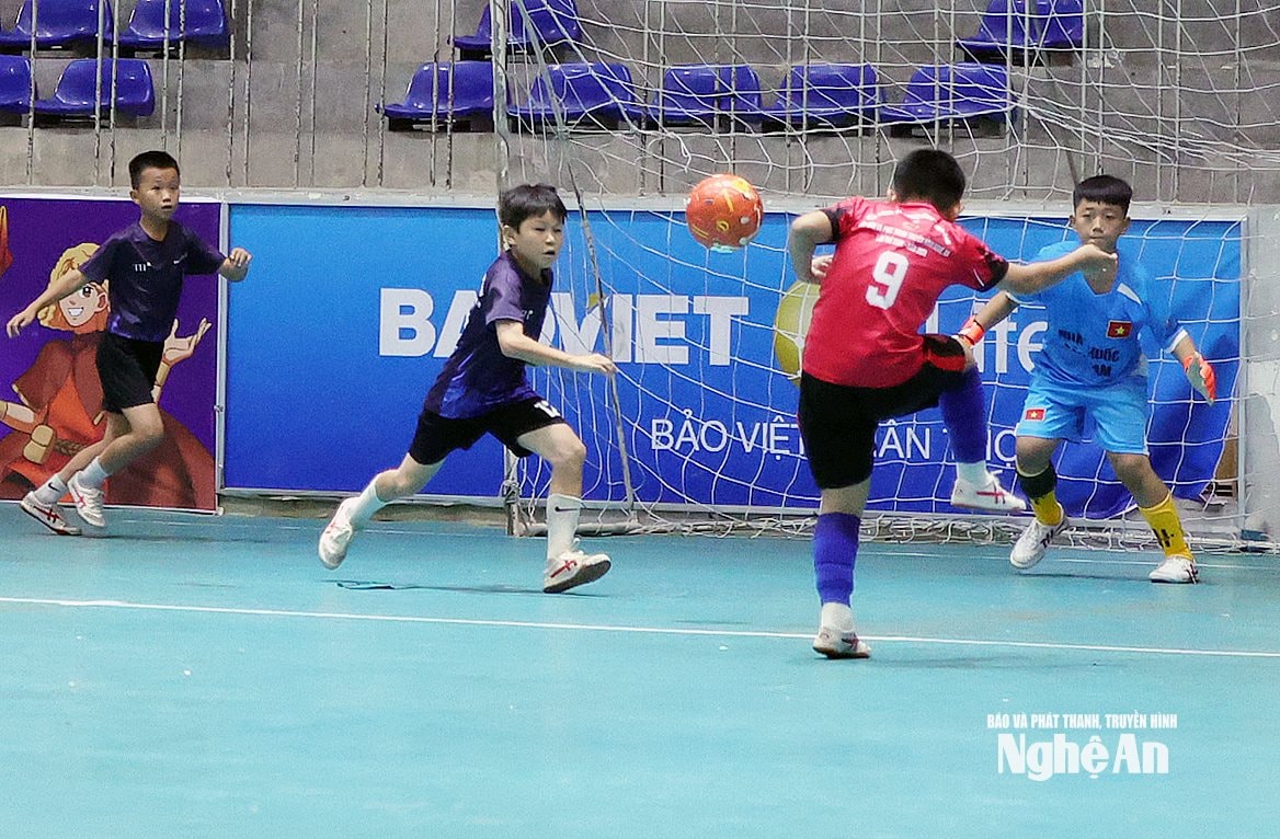 Con Cuông tím và Hưng Nguyên đỏ 4