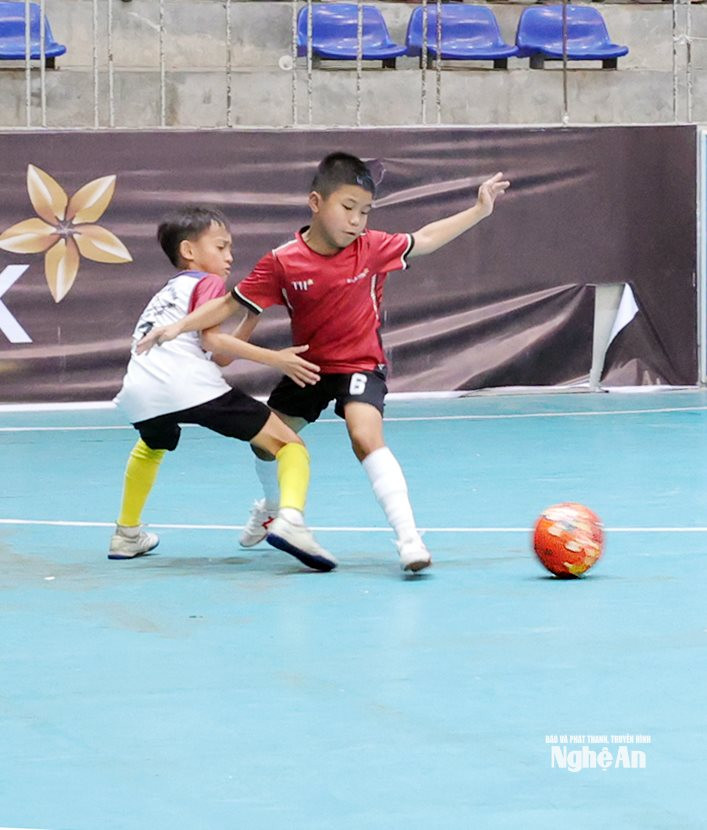 thành vinh nghĩa đàn7