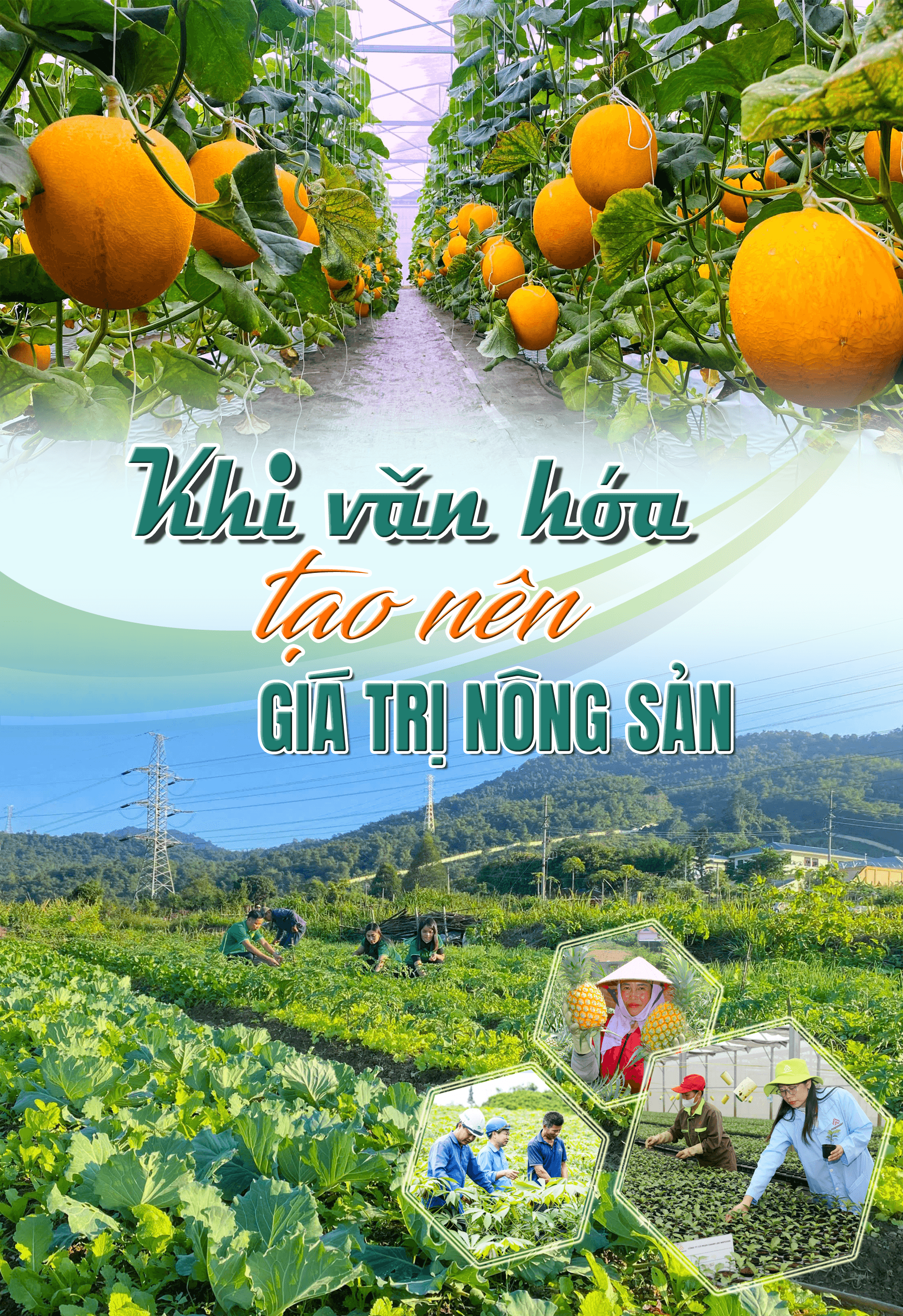 cover-vhnn.png