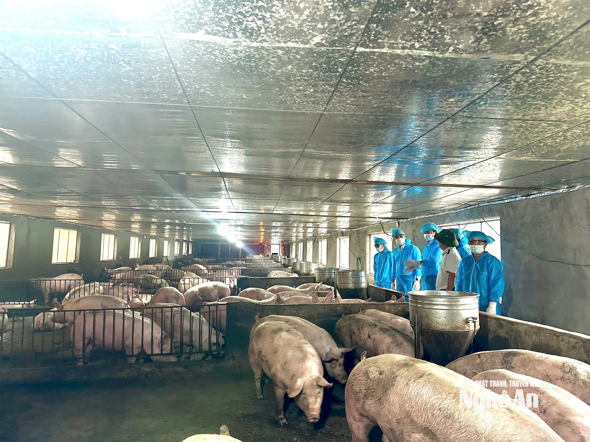  Đồng hành hỗ trợ