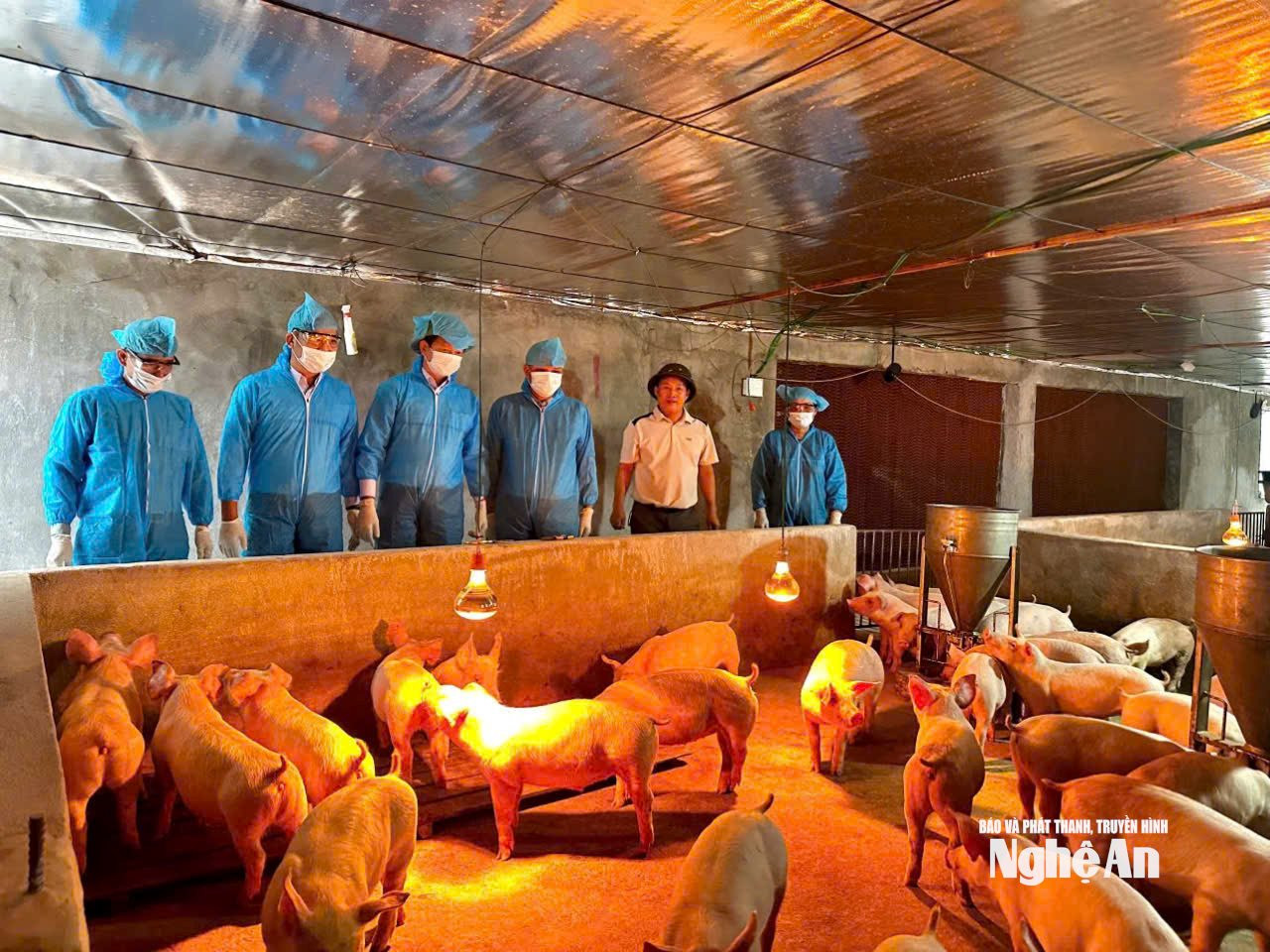 Mô hình Quỳnh Thắng