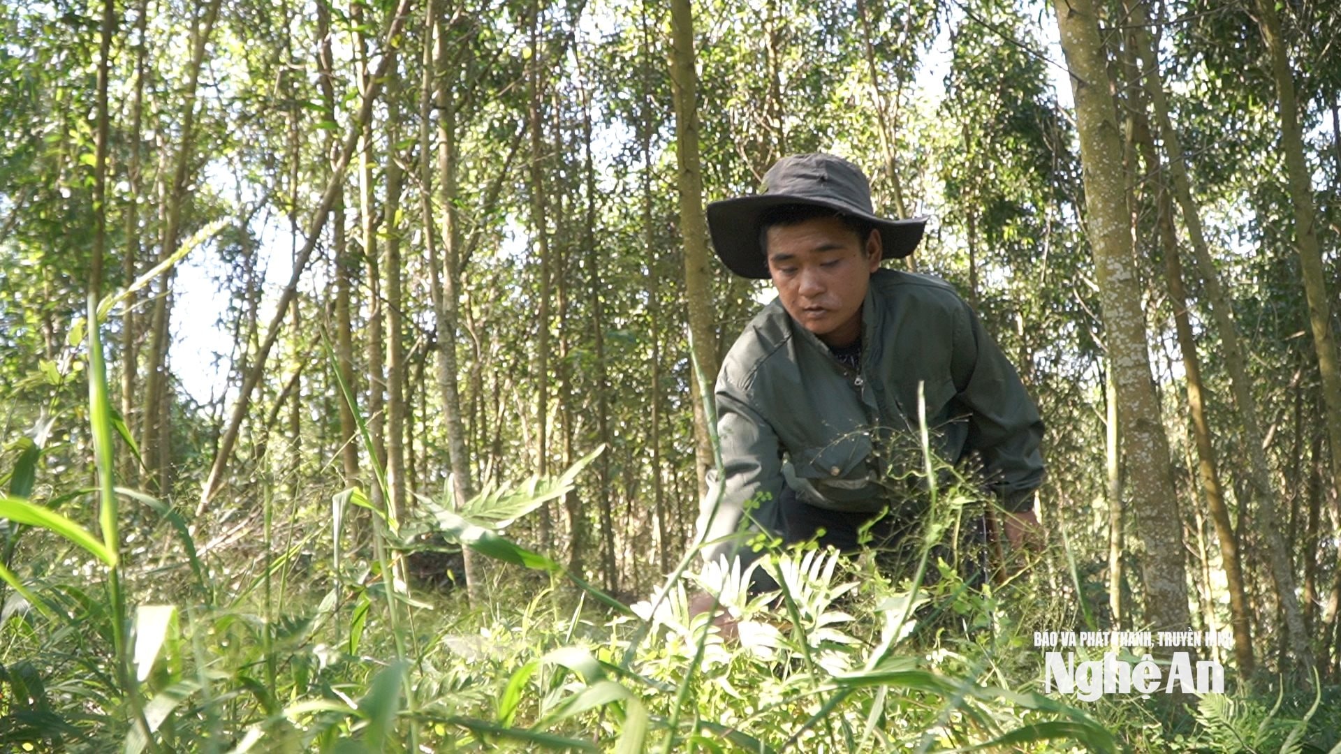 Lang Văn Bình làm thuê kiếm tiền nuôi 6 miệng ăn