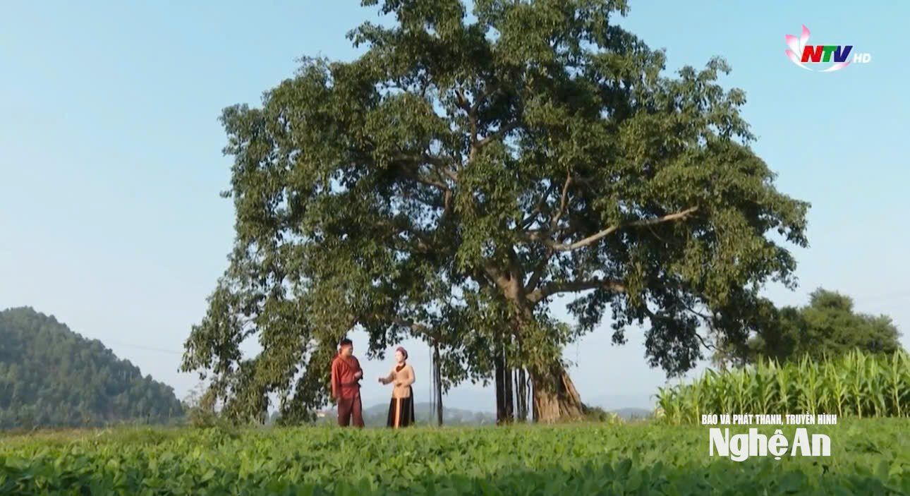 anh dân ca gia đình 1