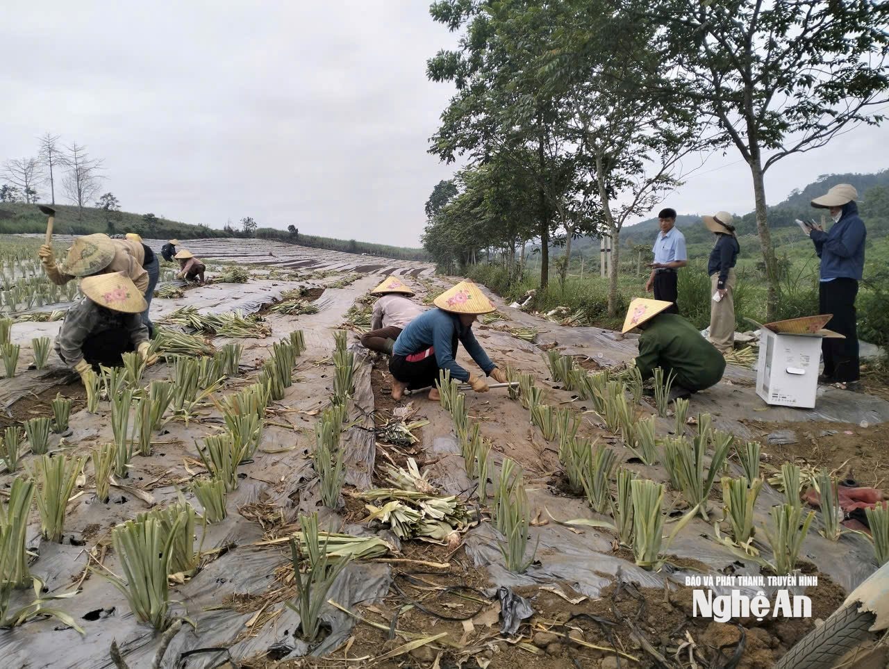 Đồng hành với nông dân