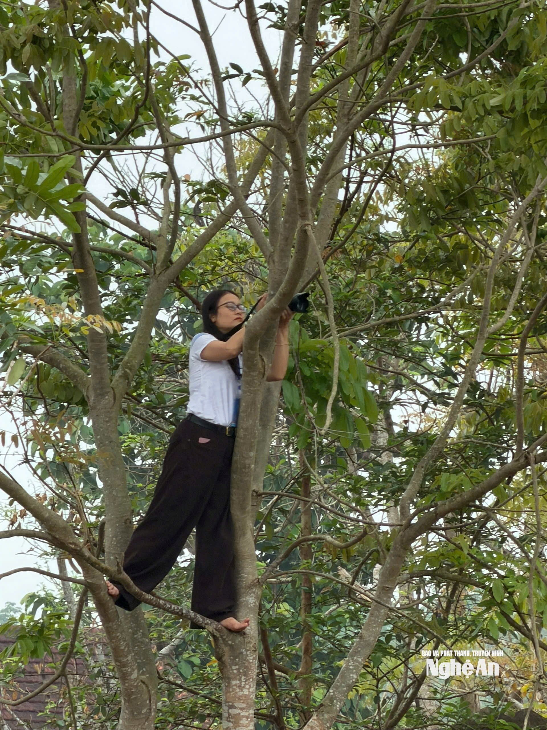 Một nữ phóng viên cơ sở