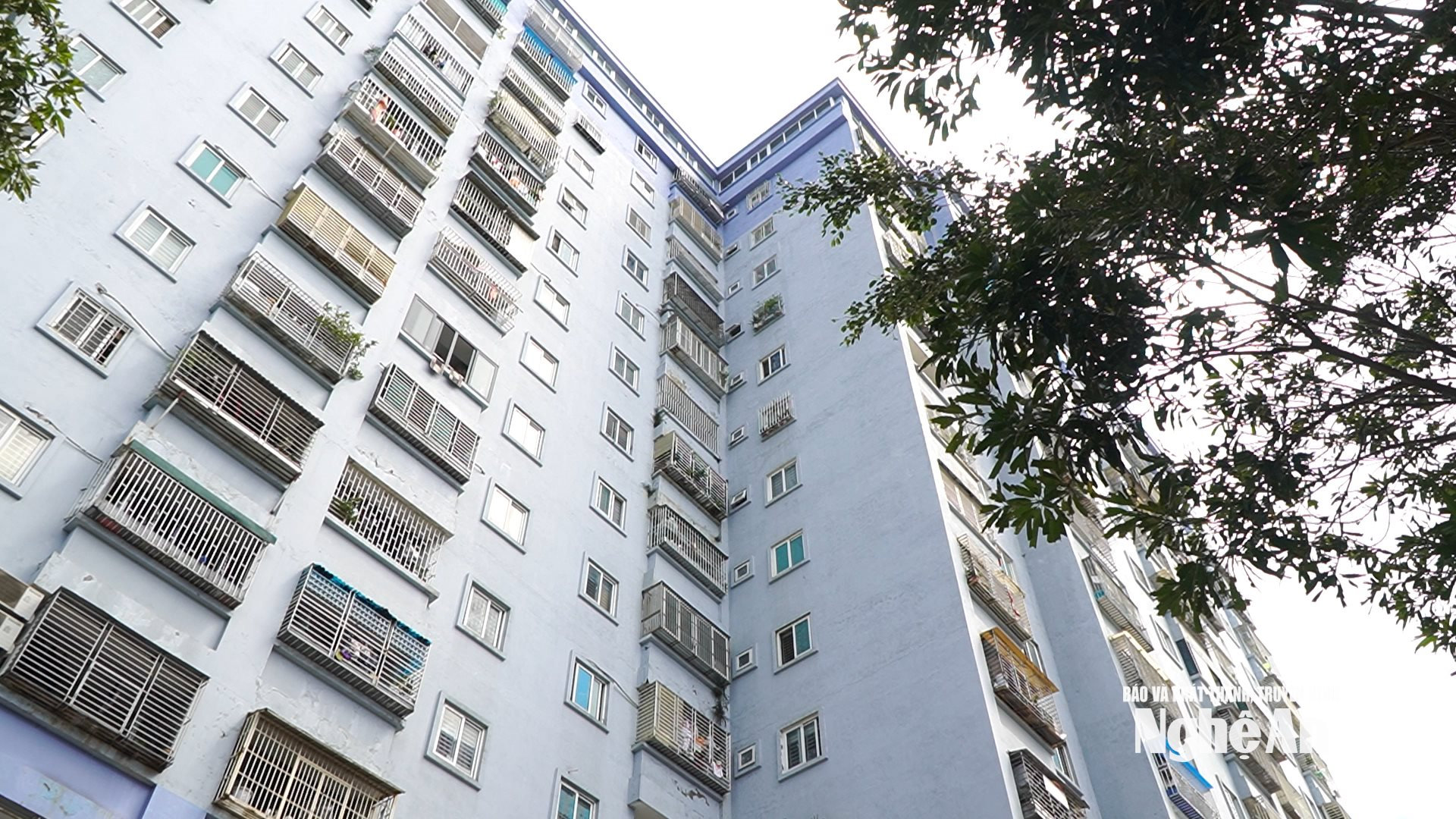  Chung cư là phân khúc có lượng giao dịch thành công lớn