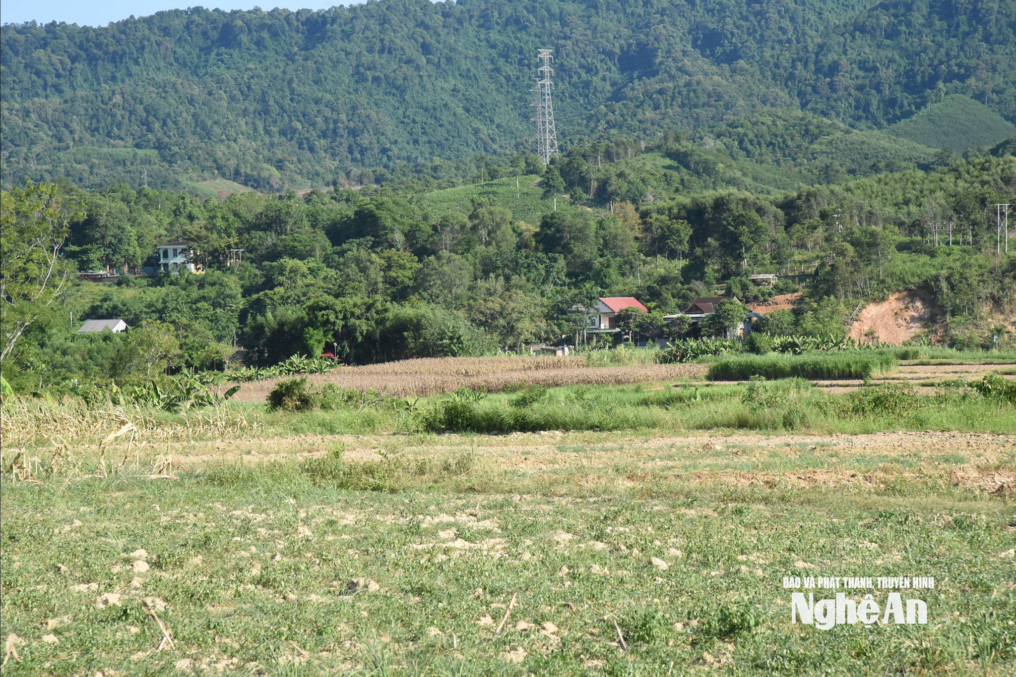 bna_0701.jpg