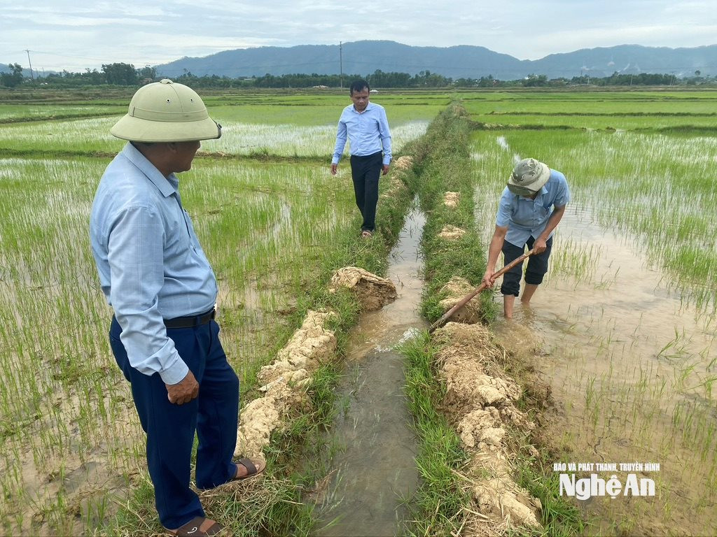 van truong 9 Cán bộ thuỷ nông xã Bạch Hà trực tiếp lấy nguồn nước từ bơm dã chiến cho chảy qua kênh để vào tưới cho lúa hè thu đang khô héo; ảnh; Văn Trường