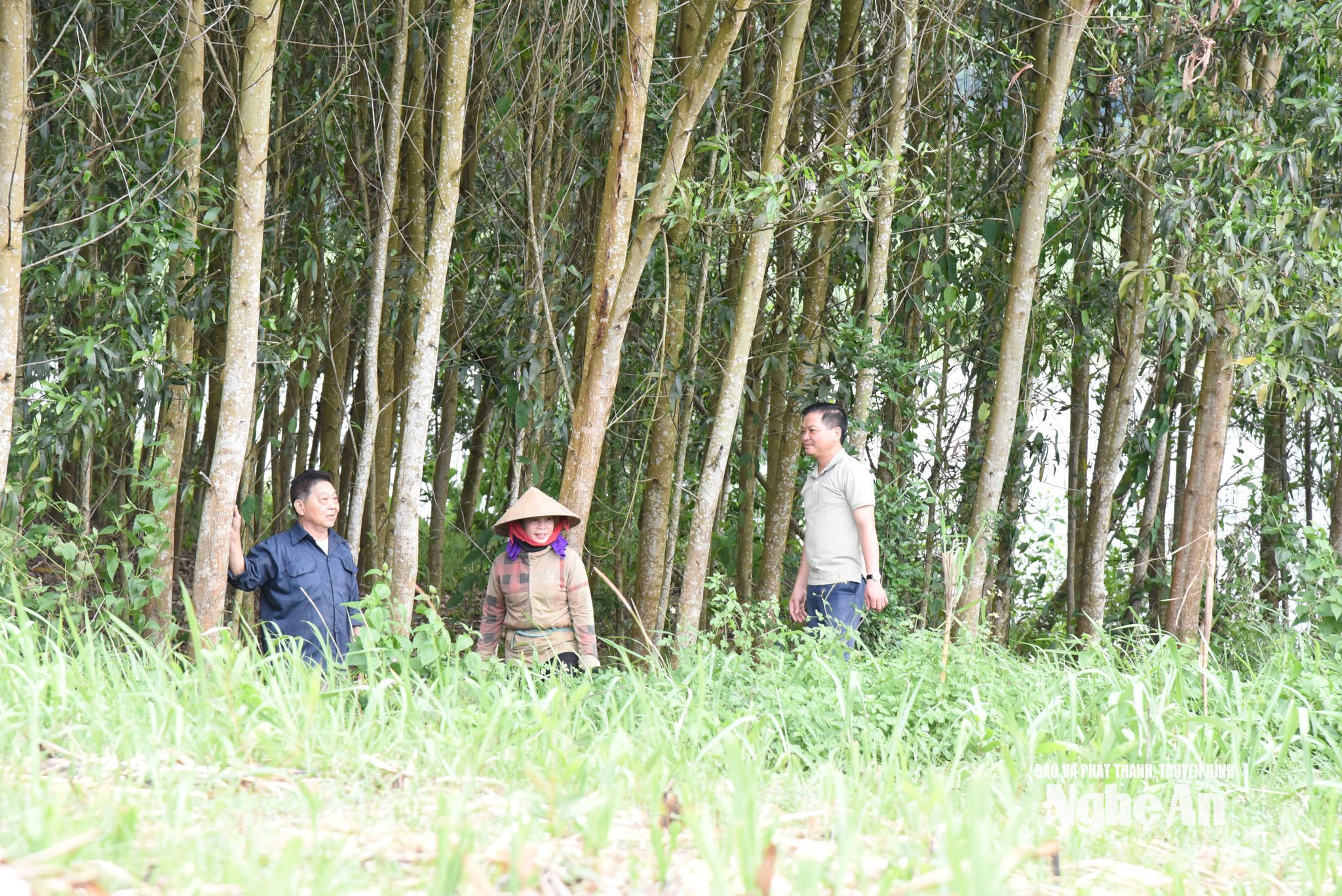 Bí thư chi bộ kiêm trưởng bản Boong Kha Văn Nam tuyên truyền, vận động người dân phát triển kinh tế. Ảnh HT